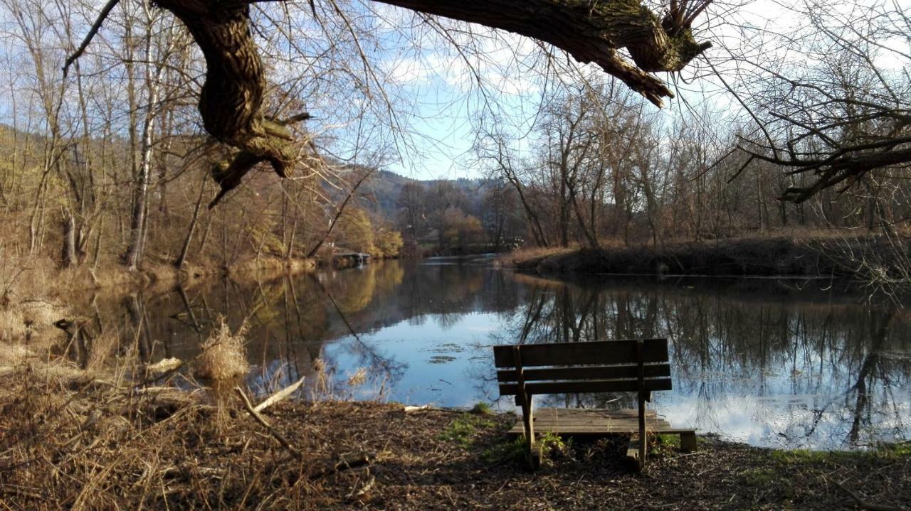 Tiny Guesthouse Kamptal Schönberg am Kamp Zewnętrze zdjęcie
